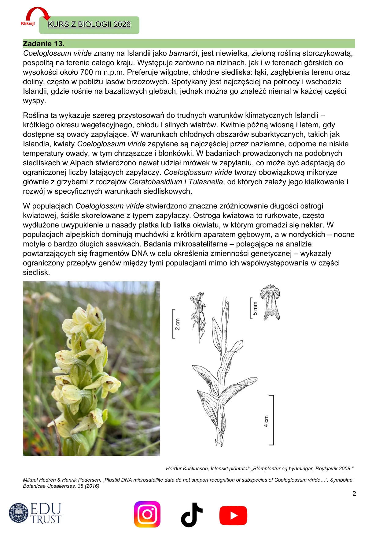 Strona autorskiego arkusza maturalnego — zadanie o Coeloglossum viride